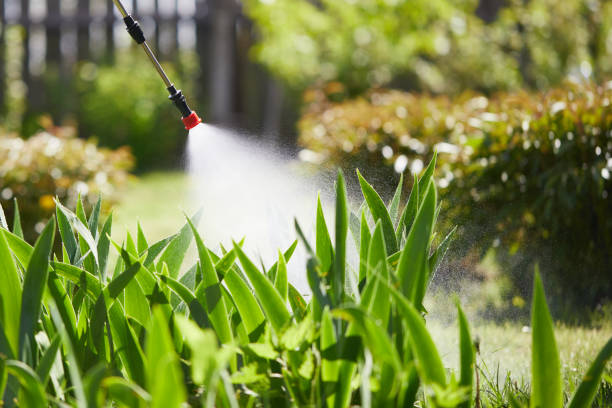 Tamper-Resistant Bait Stations for Rodents in Chipley