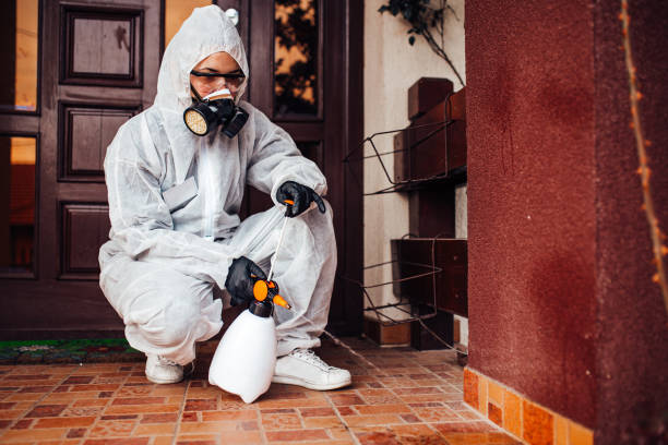 Attic and Crawl Space Rodent Treatment in Chipley